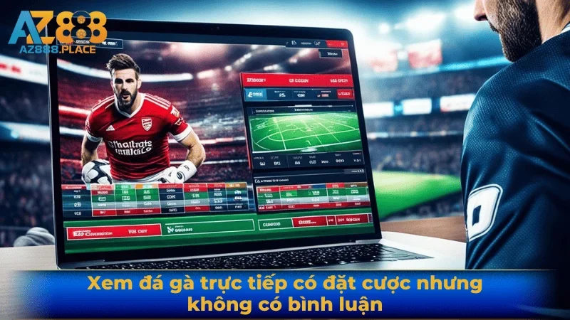 Xem đá gà trực tiếp có đặt cược nhưng không có bình luận